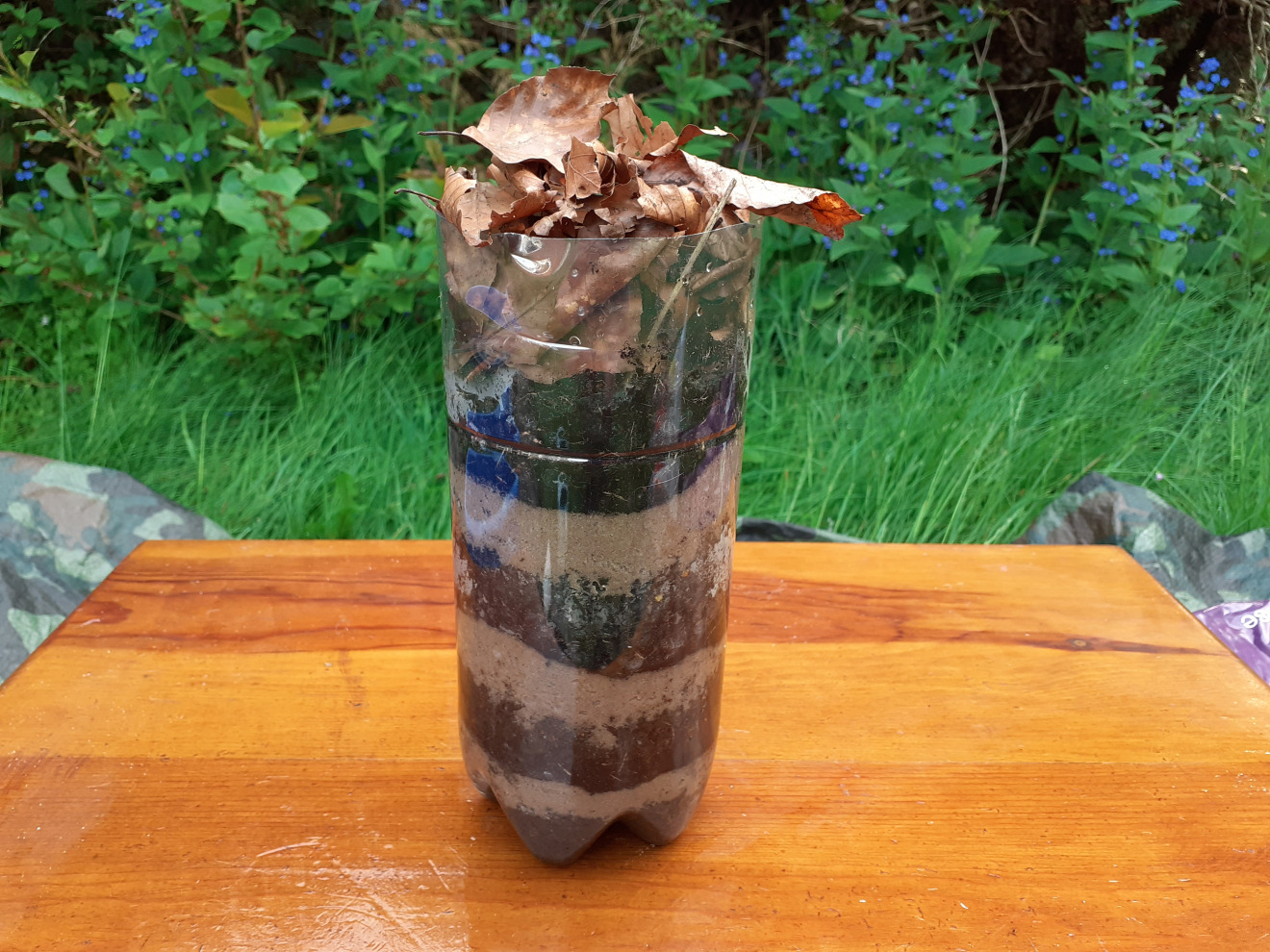 Make a wormery NUSTEM