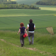 Two entomologists in a field with a butterfly net